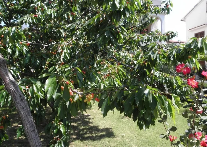 Apartments Lopar Lejlighed *