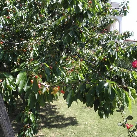 Apartments Lopar Διαμέρισμα *