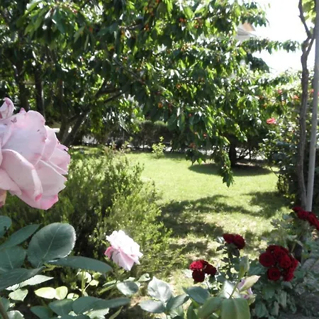 Apartments Lopar * Lopar