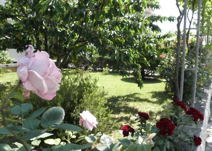 Apartments Lopar * Лопар